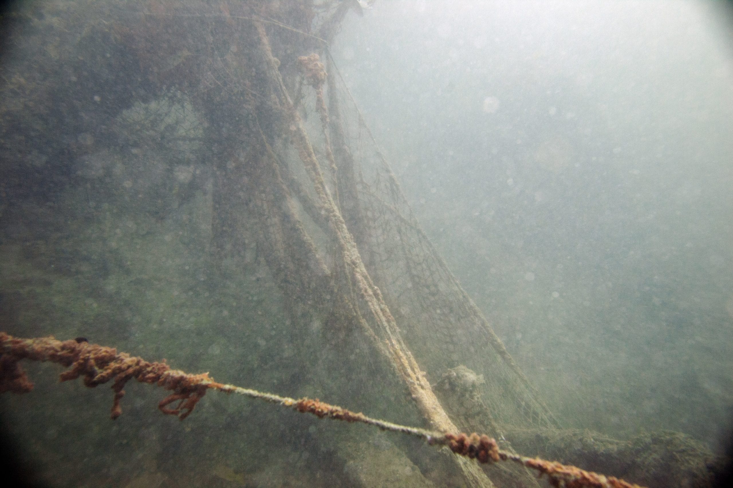 U.A.E. Dubai. The remnamts of the MV Dara wreck which lies in 20m of water off the coast of Dubai and has become covered in fishing nets. 2013