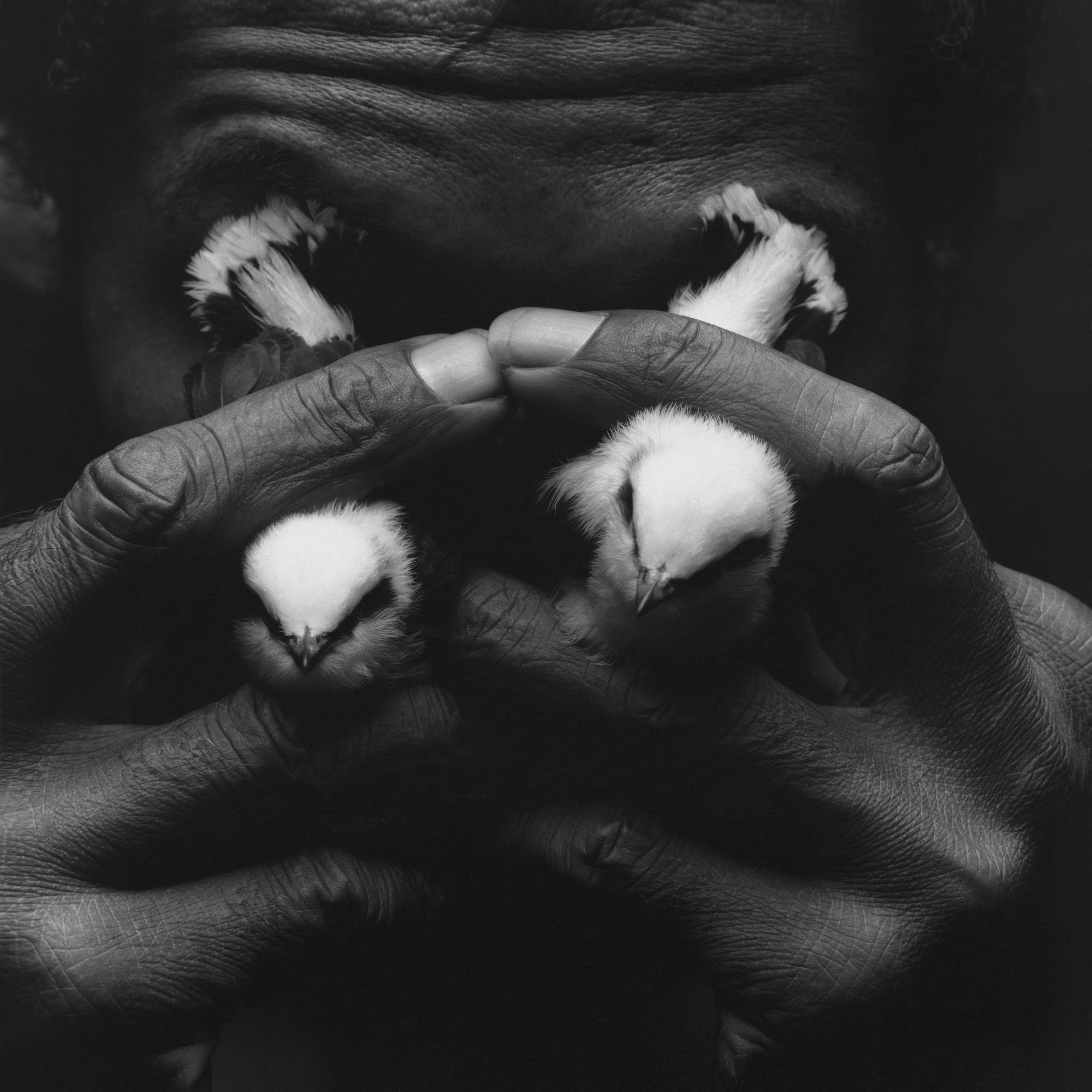 Homem com lagrimas de passaro, 1992 [Man with bird tears] © Instituto Mario Cravo Neto/Instituto Moreira Salles, courtesy of Daros Latinamerica Collection, Zürich