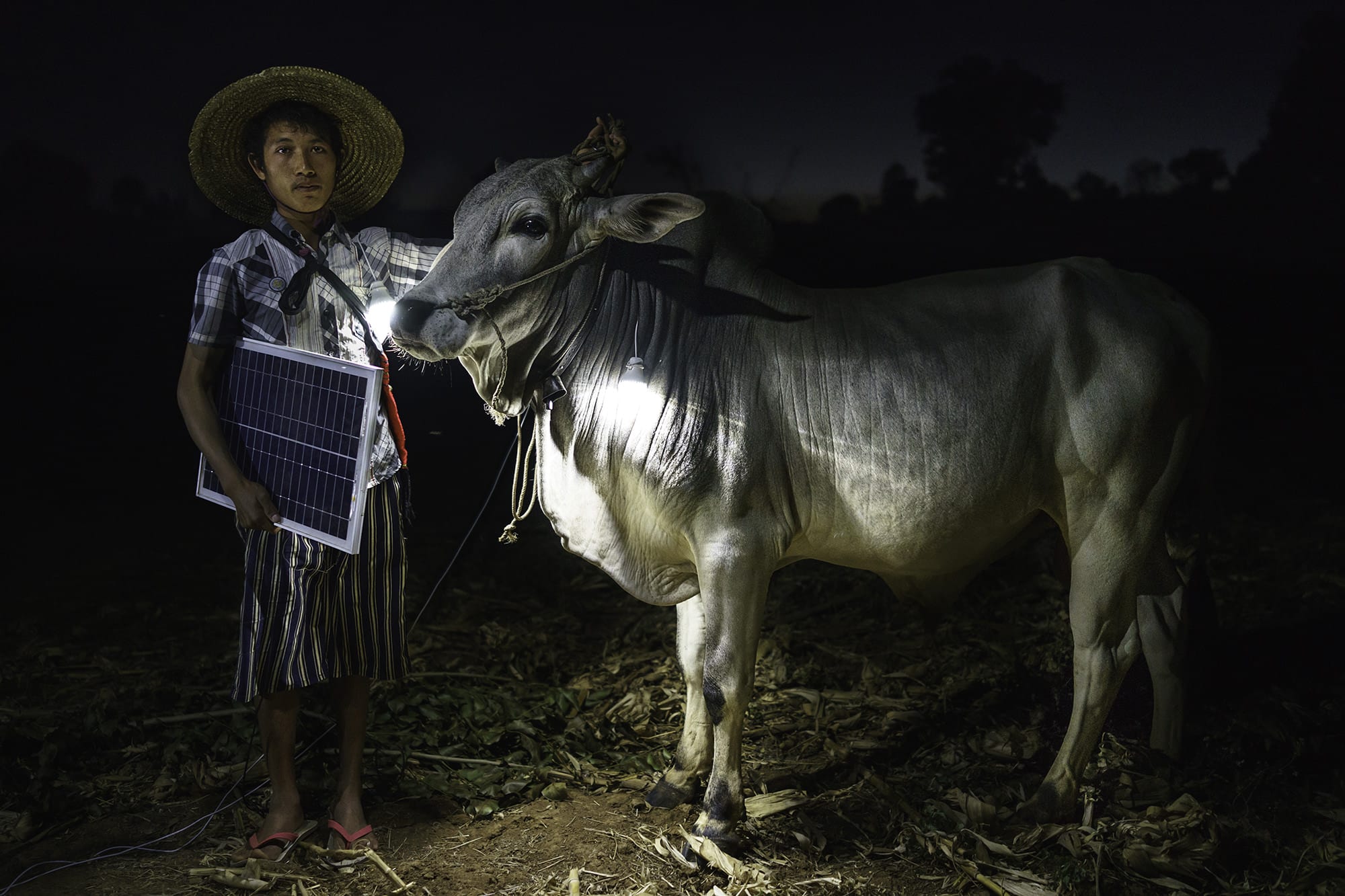 A Shan farmer with his cow.