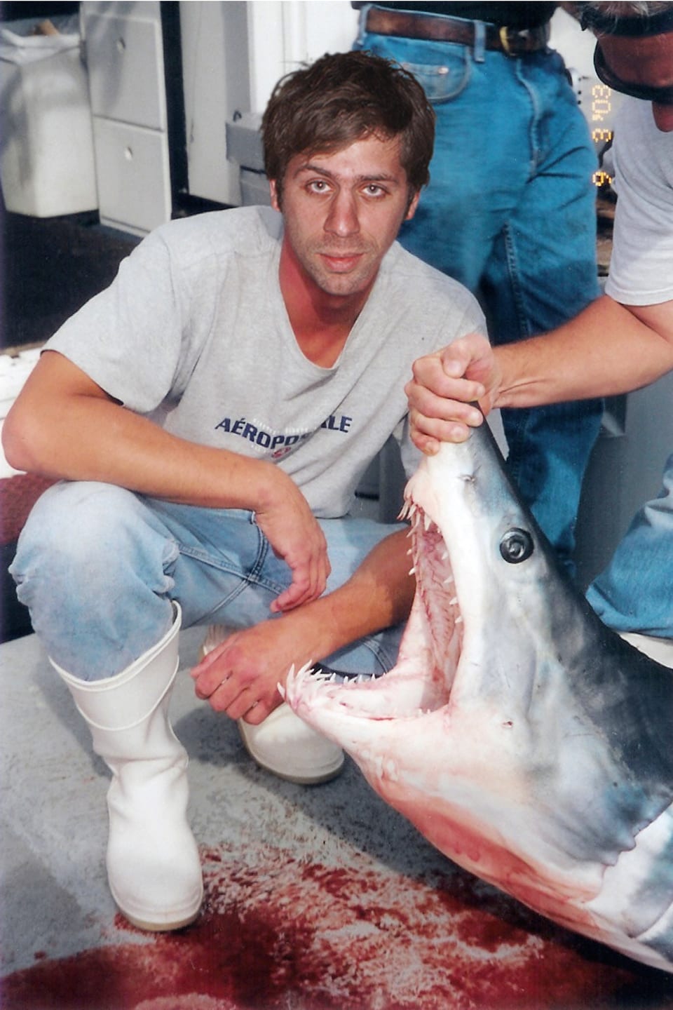 Thomas Mailaender, Mako Shark #1, 2010. Printed 2015. Lambda print, 14.7 x 10 cm (32 x 23 cm with frame), edition of 3 plus 1AP. (c) Thomas Mailaender