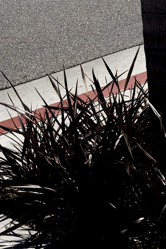 Vertical-Horizon_Sidewalk-Red