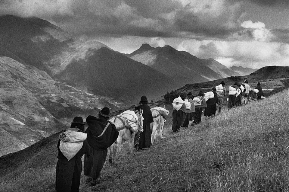 Salgado Image 6 Chimborazo