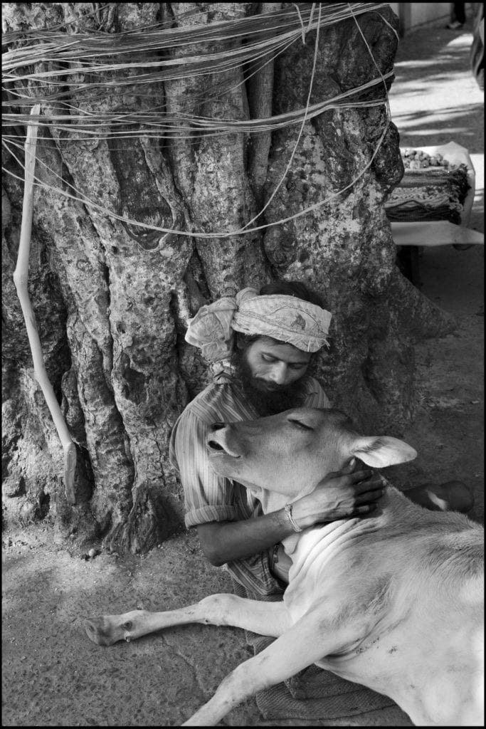 Homage to Chim (David Seymour) “I do not believe in empathy in photography, unapologetic or otherwise. I believe in sharp observation, always, and in confrontation with my subjects, sometimes. Although I never felt close to the work of Chim, nonetheless I admired his engagement and appreciated the empathy with which he photographed his subjects. There is more than empathy between this beggar in Rishikesh, India and the calf he is cradling like his own baby. There is love and compassion. The beggar, paralyzed in both legs, spends half of the alms he receives to feed the calf whom he has raised since it was born. The calf is growing up and will soon be a cow, no doubt a sacred one, like the tree behind them.” — Abbas