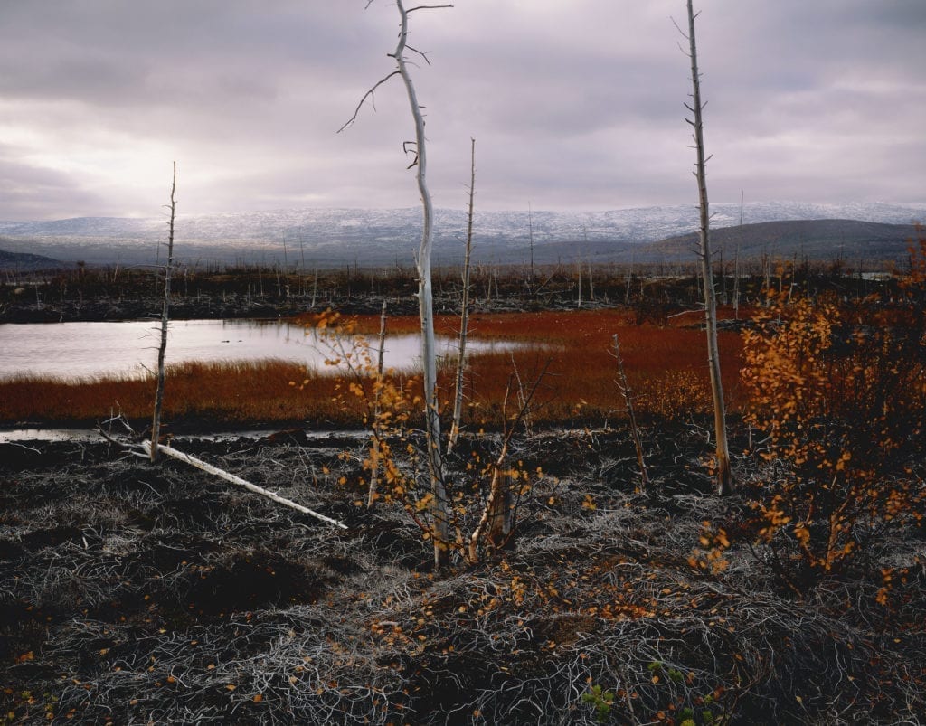 RUSSIA. Kola Penninsula. Polluted landscape affected by nickel smelter. 2006.