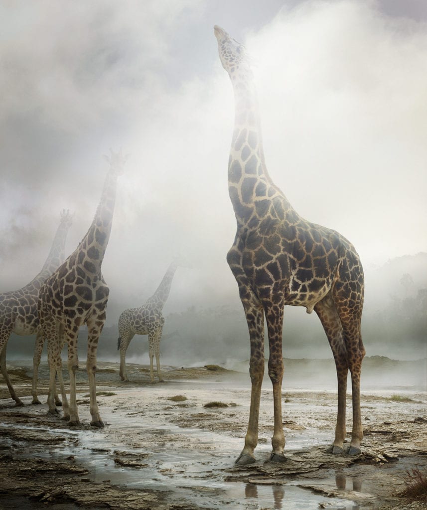 Untitled #172 © Simen Johan