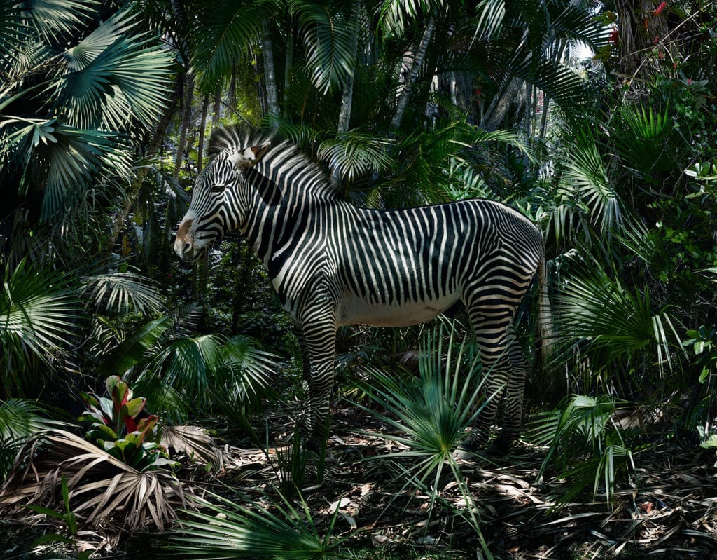 Untitled #181, © Simen Johan