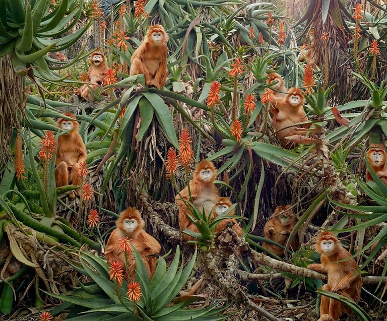 Untitled #174 © Simen Johan