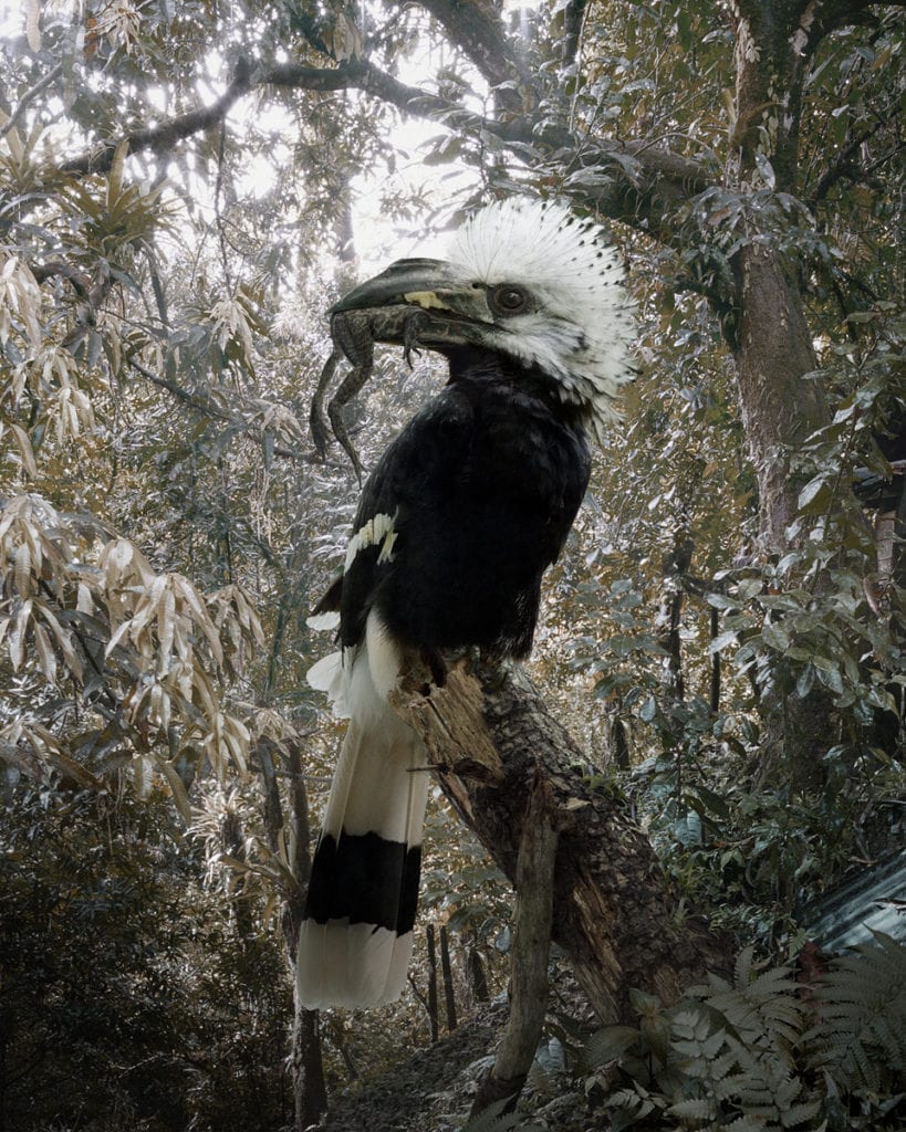 Untitled #155 © Simen Johan