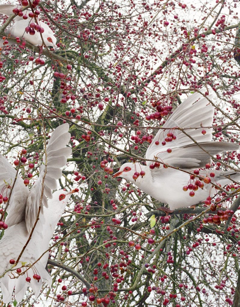 Untitled #162 © Simen Johan