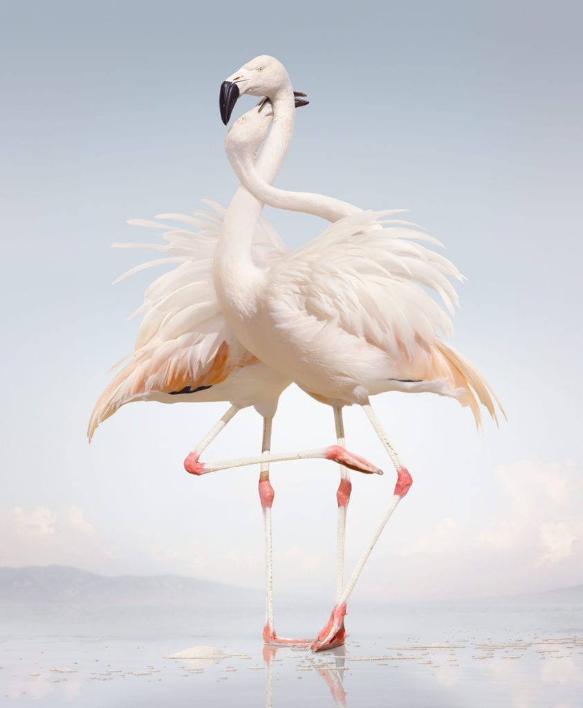 Untitled #163 © Simen Johan