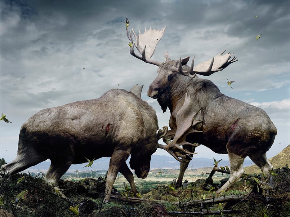 Untitled #133 © Simen Johan