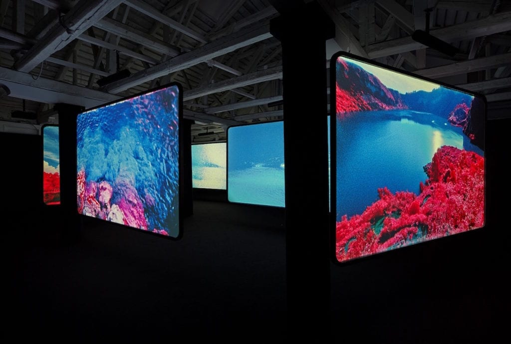 Richard Mosse's installation The Enclave, 2013 at the Venice Biennale. Image © Tom Powel Imaging inc