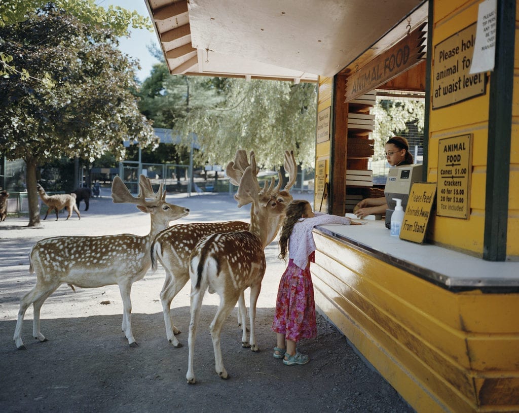 I is for Imagine. Imagine you and your three friends – Do, Re, and Mi – feel like an ice cream (it is, after all, a hot sticky day). But they’ve forgotten their wallets again and you have to spend all your pocket money. Deer me! Image Deerline, 2005, from Amelia & the Animals, 2014, and Amelia’s World, 2009, Aperture Books, New York © Robin Schwartz