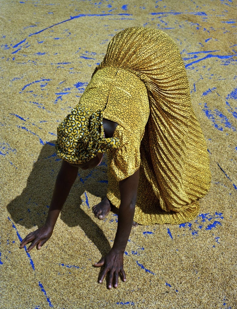 Rice Farmer, Sanwougou Lalle, Toga, 2015 © 2016 Kenneth O’Halloran