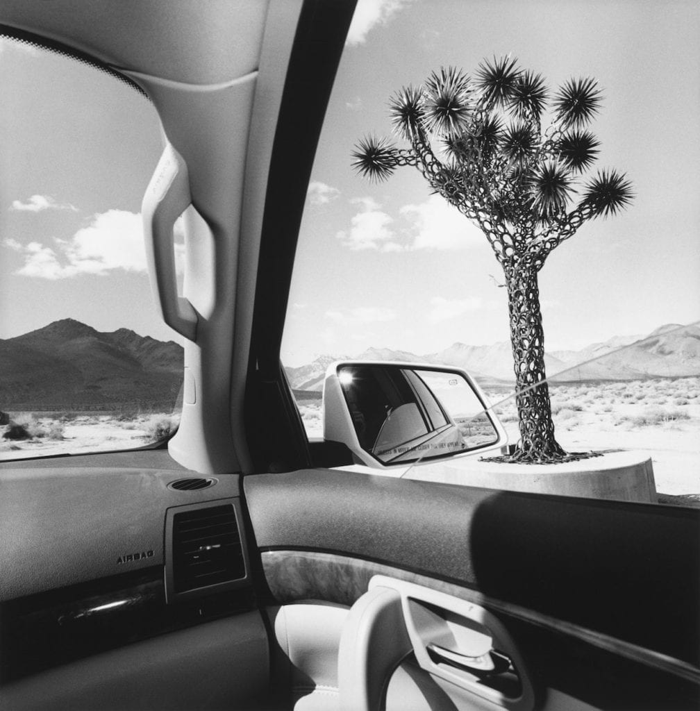 California, from the series 'America by Car', 2008 © Lee Friedlander, courtesy Fraenkel Gallery