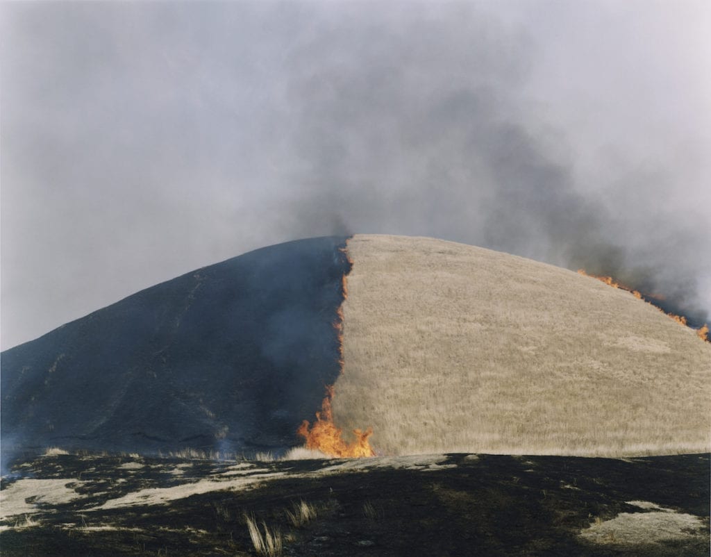 Untitled, from the series of Ametsuchi, 2012. Image © Rinko Kawauchi, courtesy Prix Pictet