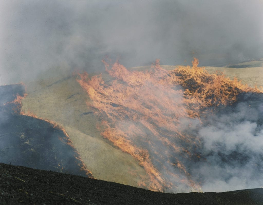 Untitled, from the series of Ametsuchi, 2012. Image © Rinko Kawauchi, courtesy Prix Pictet