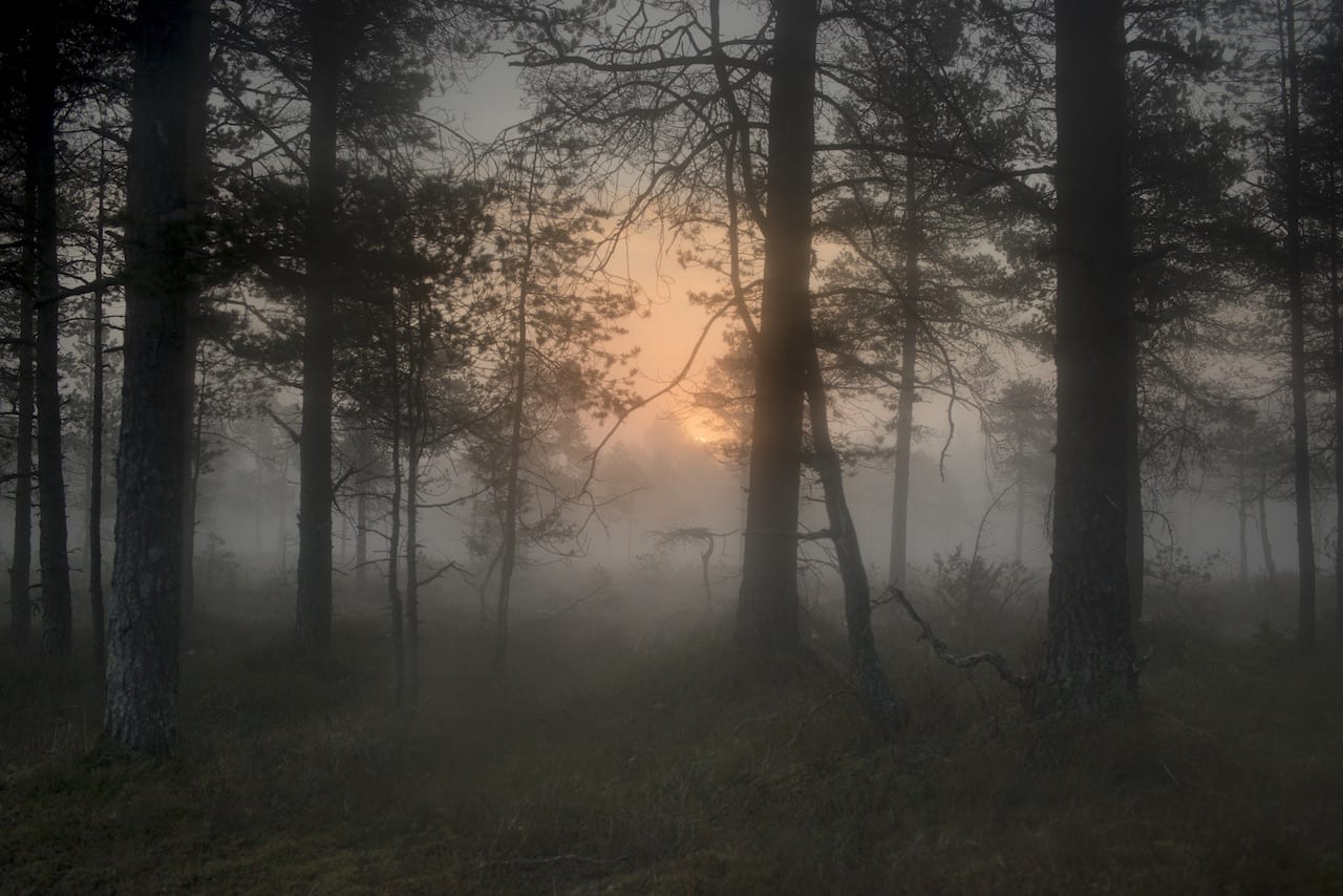 Todd Hido's Bright Black World - 1854 Photography