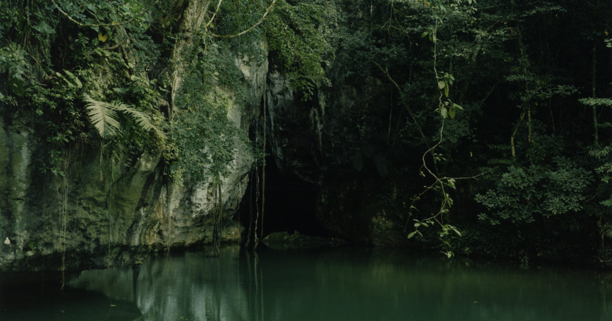 Colin Dodgson's lyrical depiction of environmental conservation