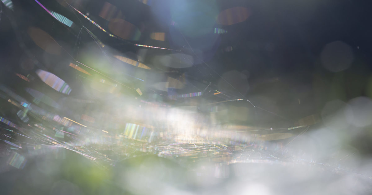 Rinko Kawauchi: As it is - 1854 Photography