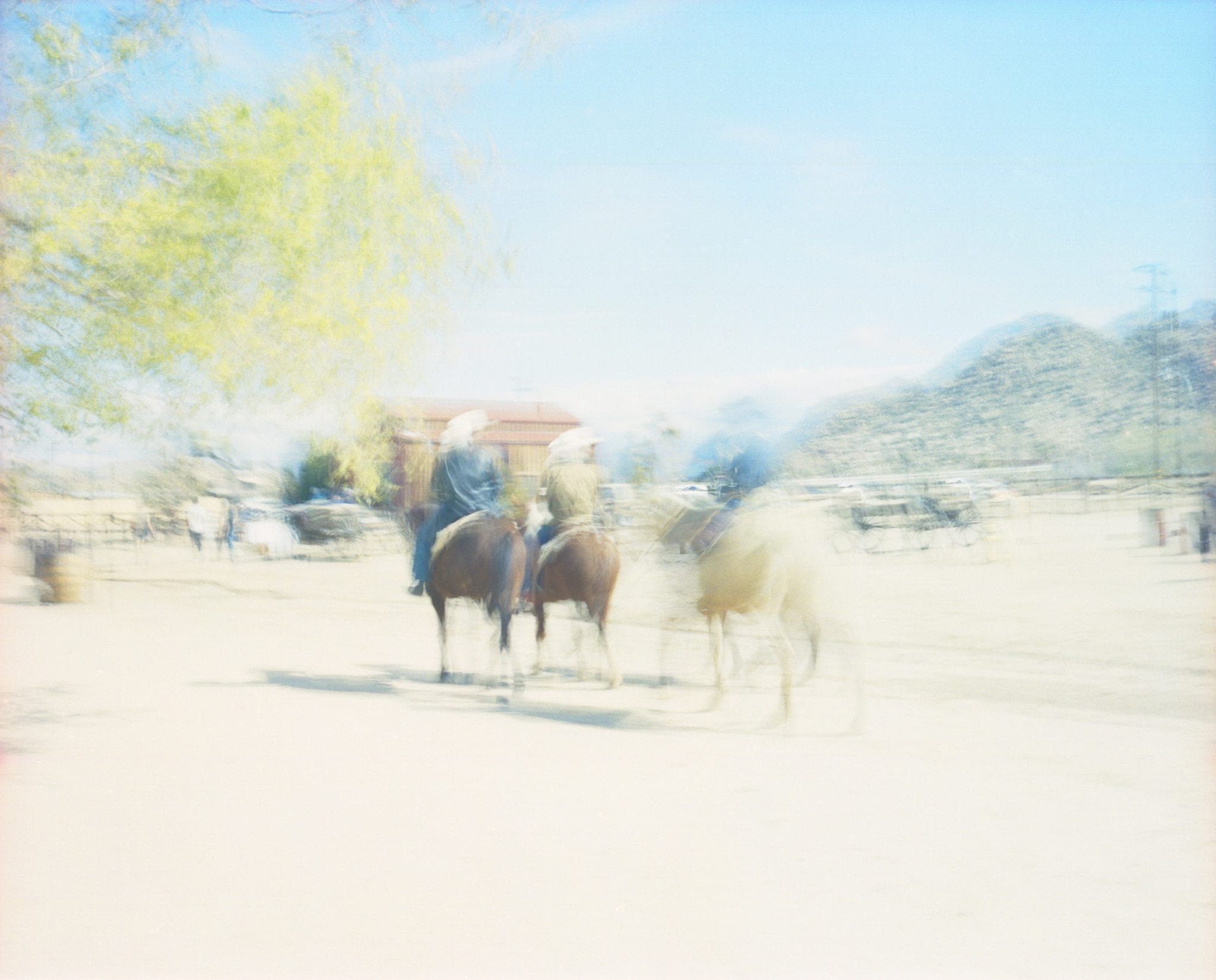 Alex Nelson finds meaning in the fragmented biography of a late