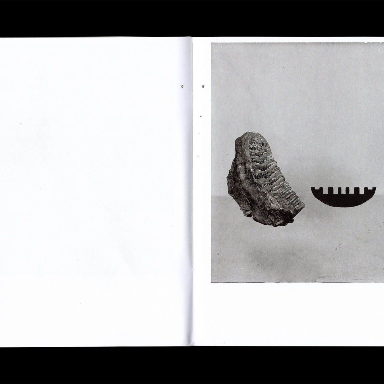 Mixing found images, Giovanna Petrocchi explores museology and the