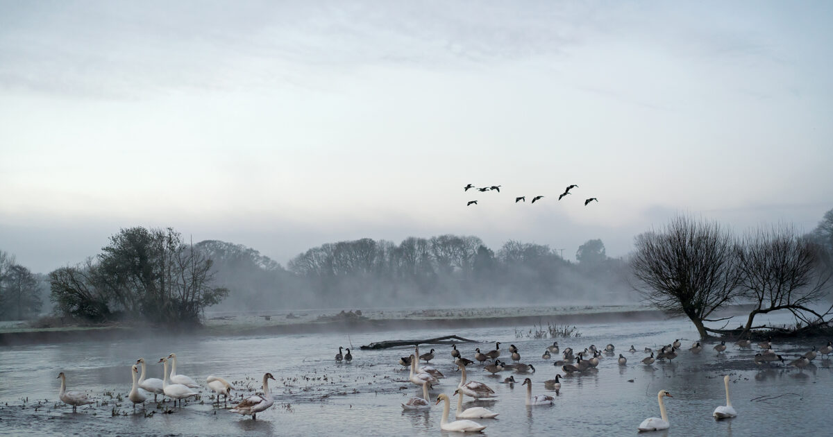 Landscape Stories | Jem SOUTHAM, Gerry Badger, Andy Grundberg