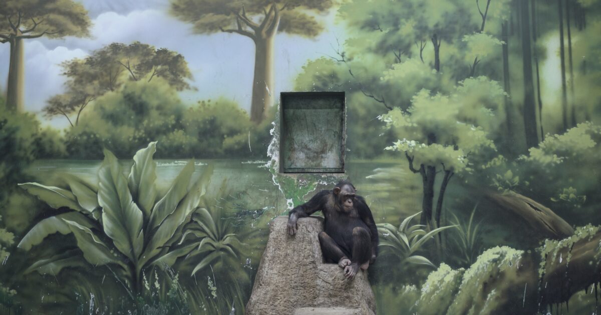 National Parks in Glass Cases: Zed Nelson photographs the