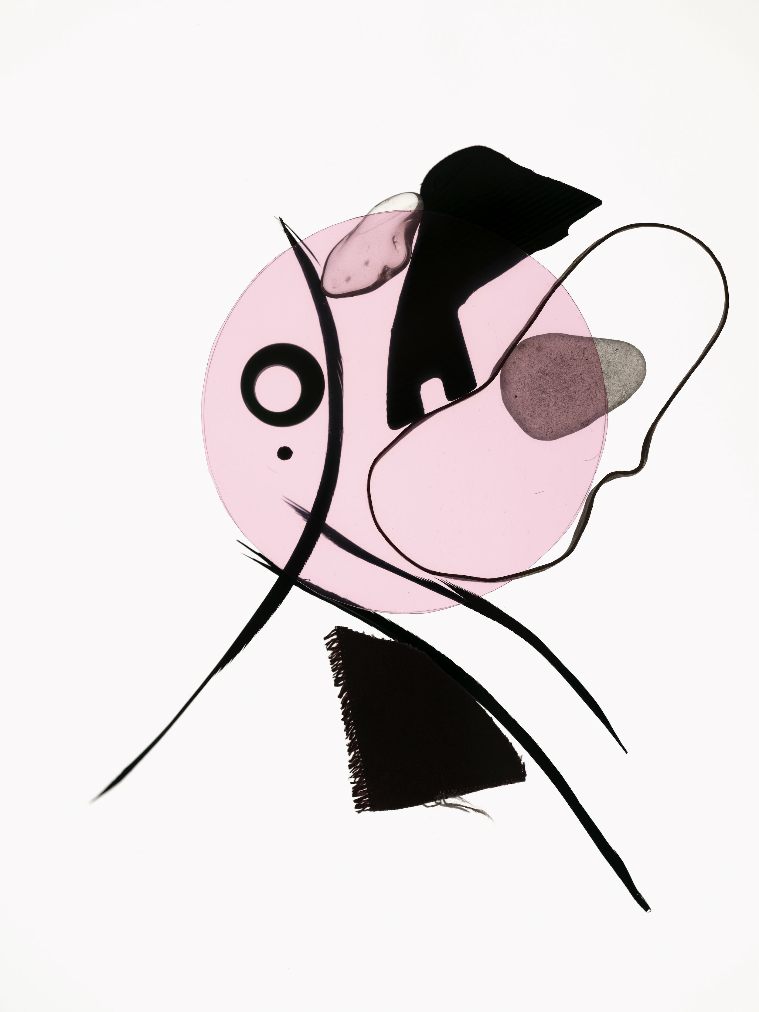 Bettina von Zwehl, Thing Two (2023), Archival pigment print © Bettina von Zwehl