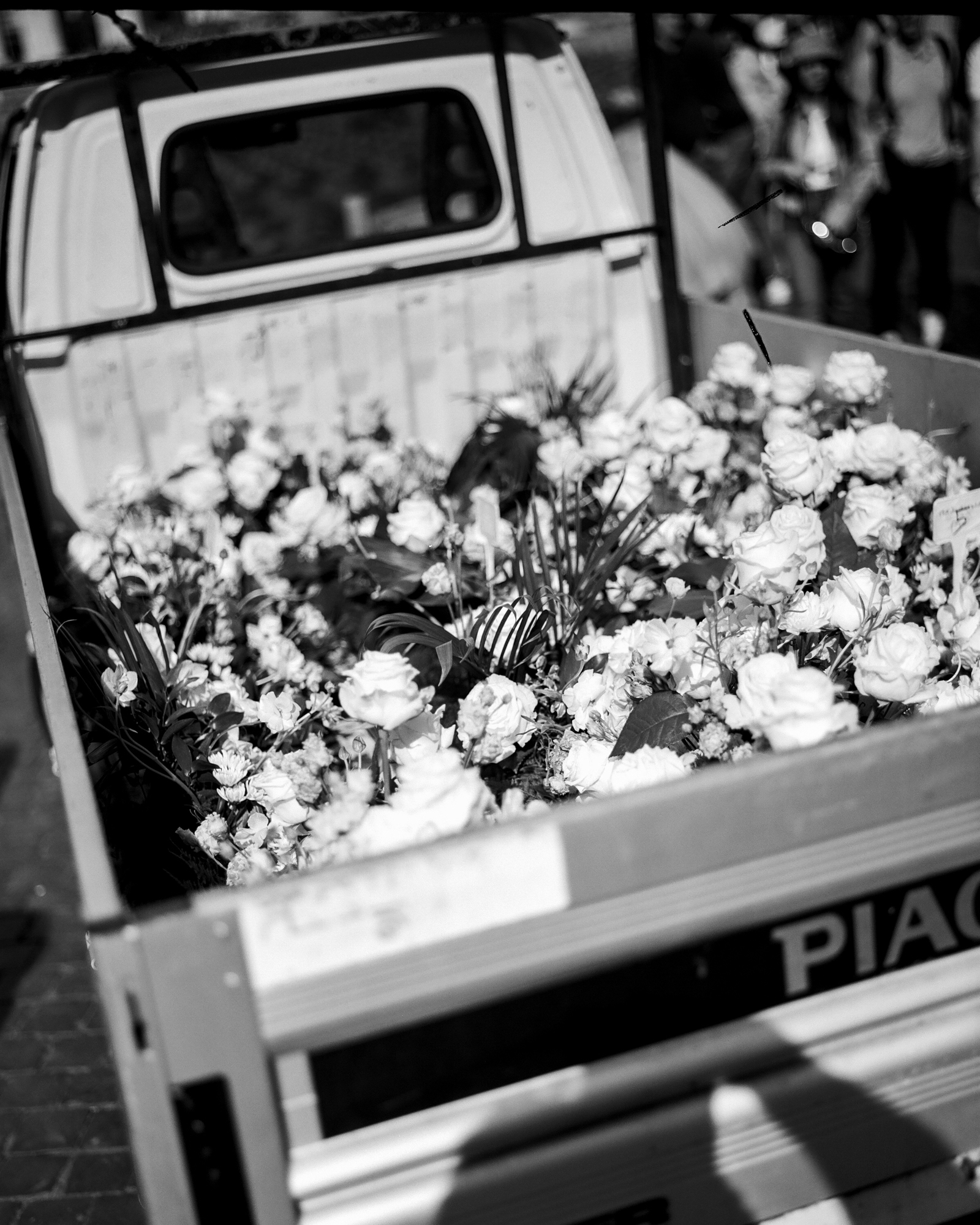 PopeFuneral_2025_003