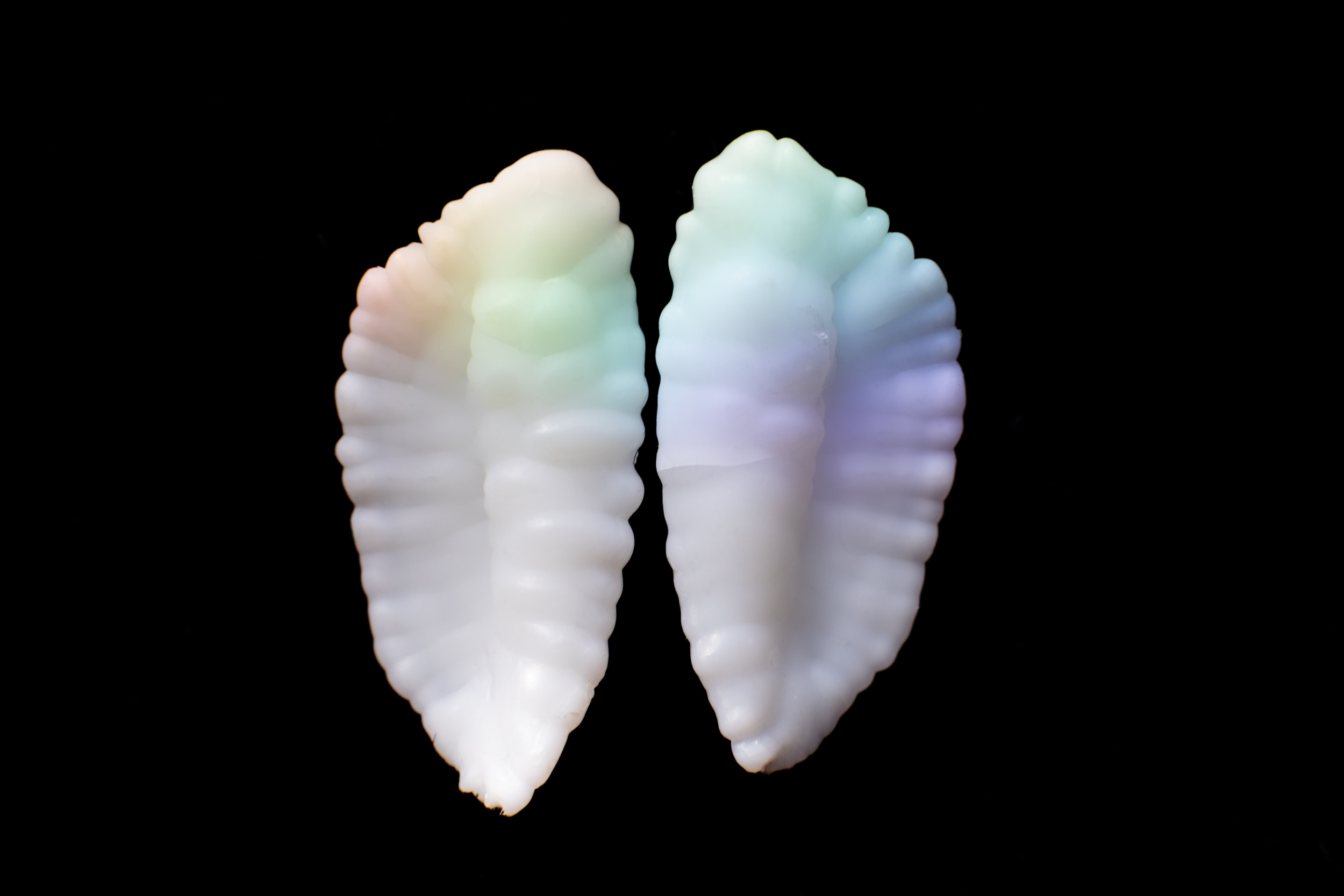 Belfast_Photo_Festival-Yvette_Monahan-The_Ocean_Within-Otolith iii-11