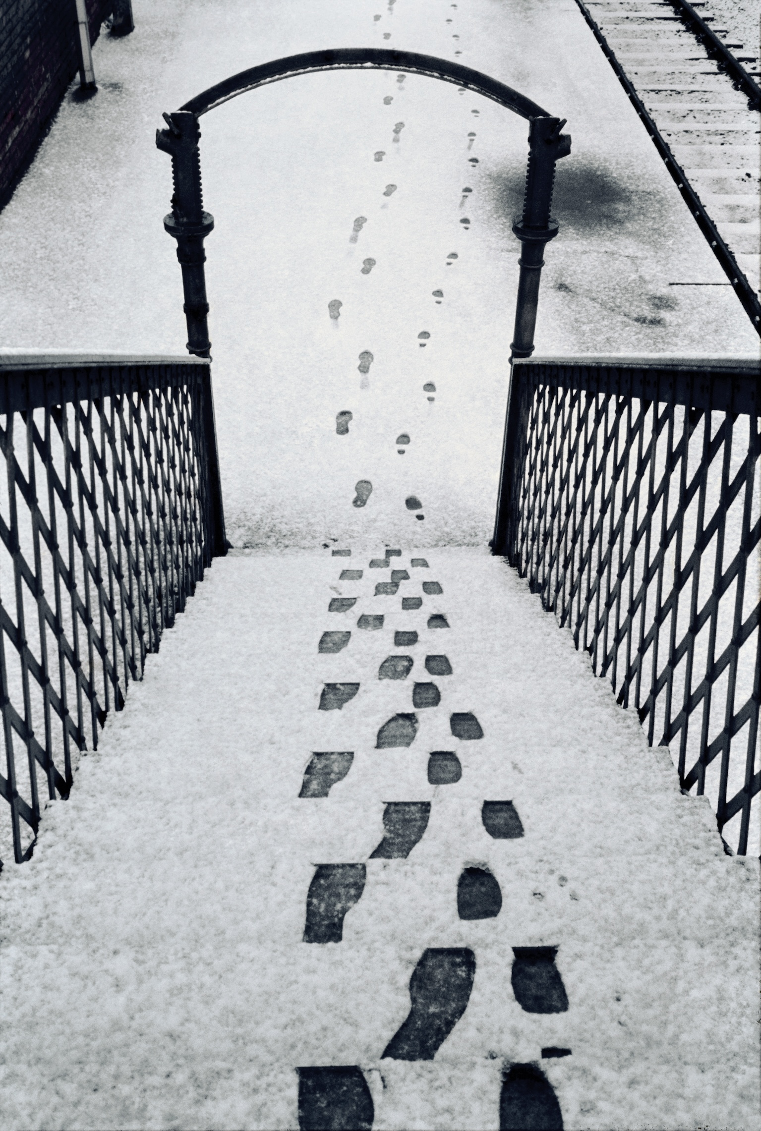 ©Akihiko Okamura