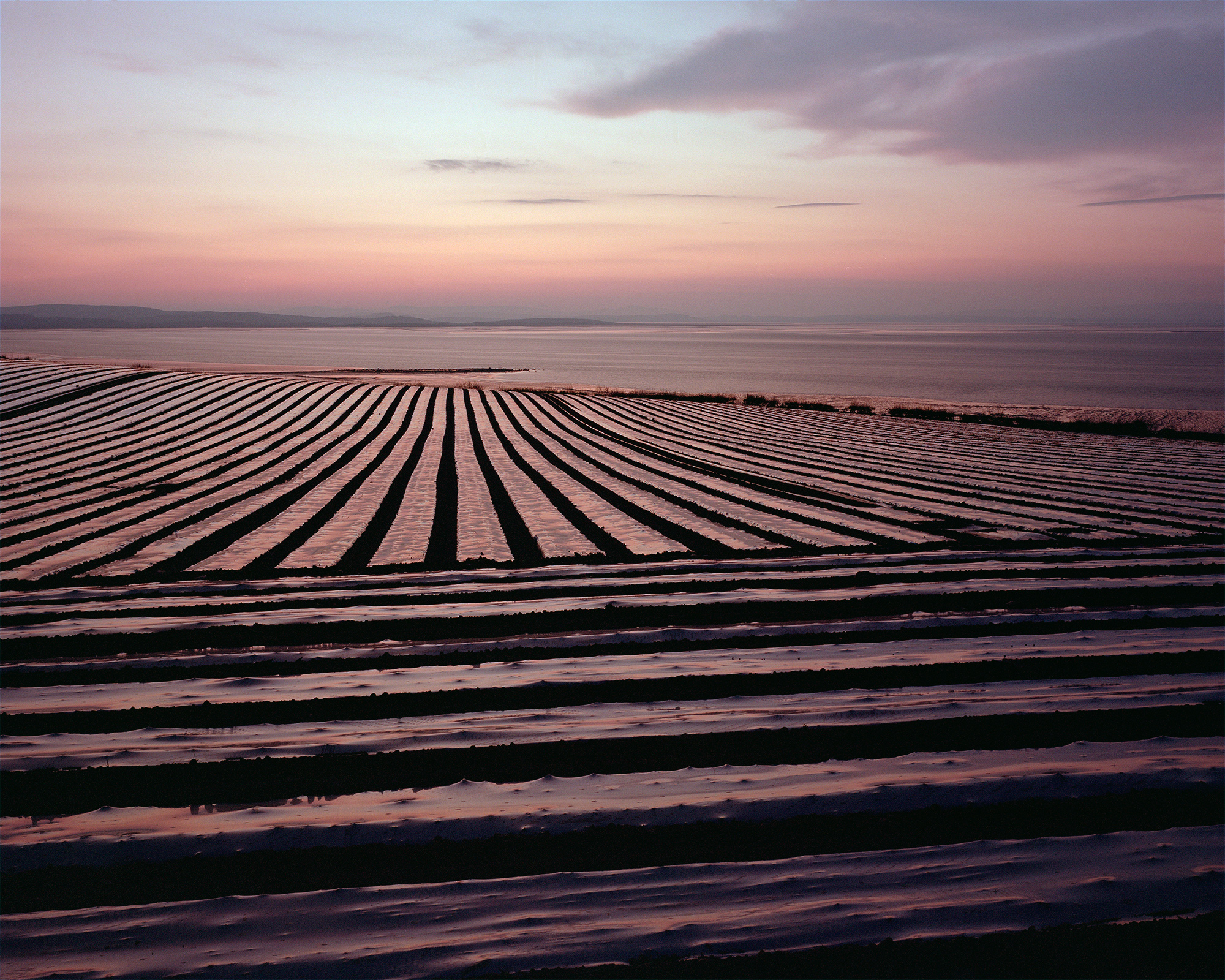 The Binding Tide