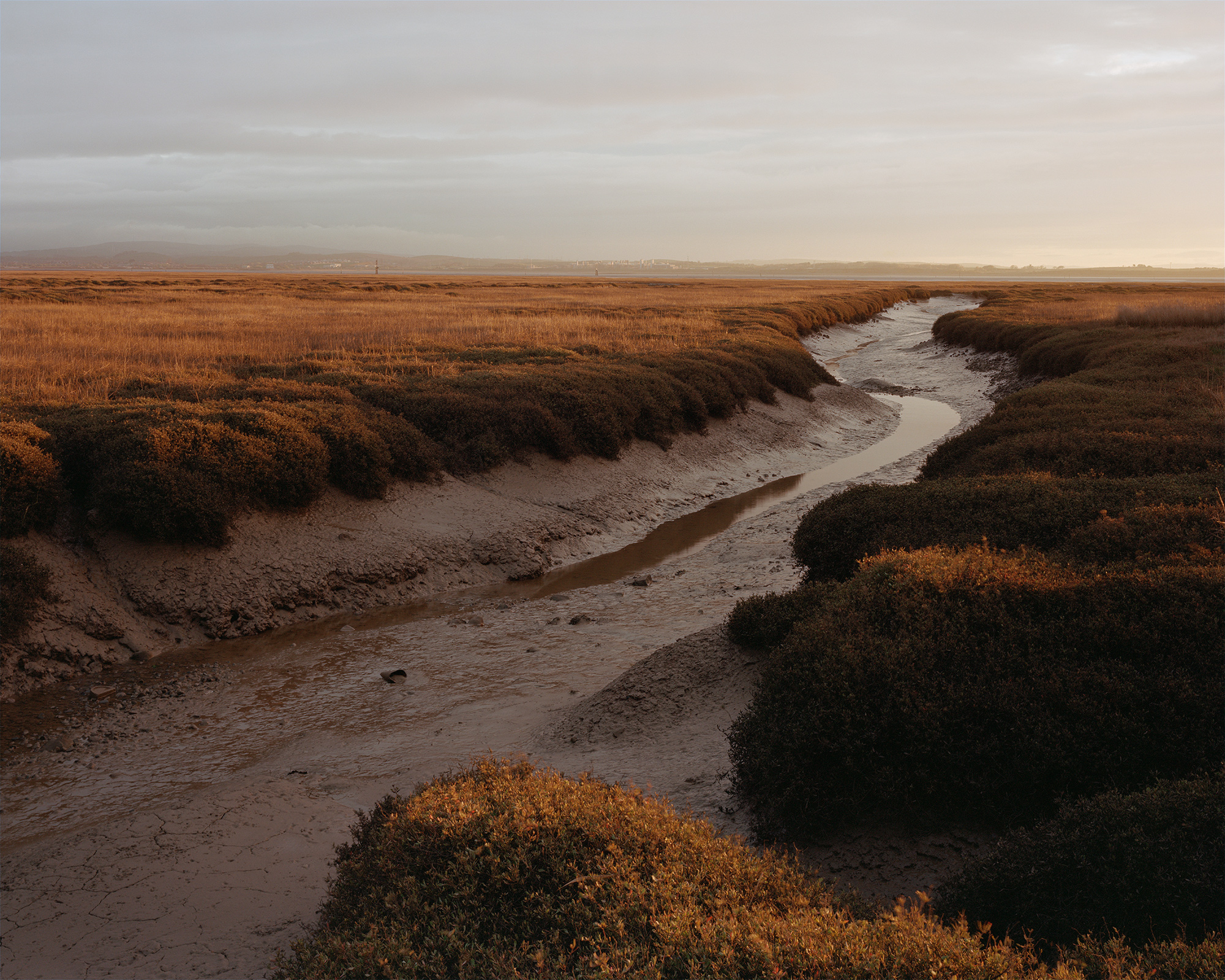 The Binding Tide