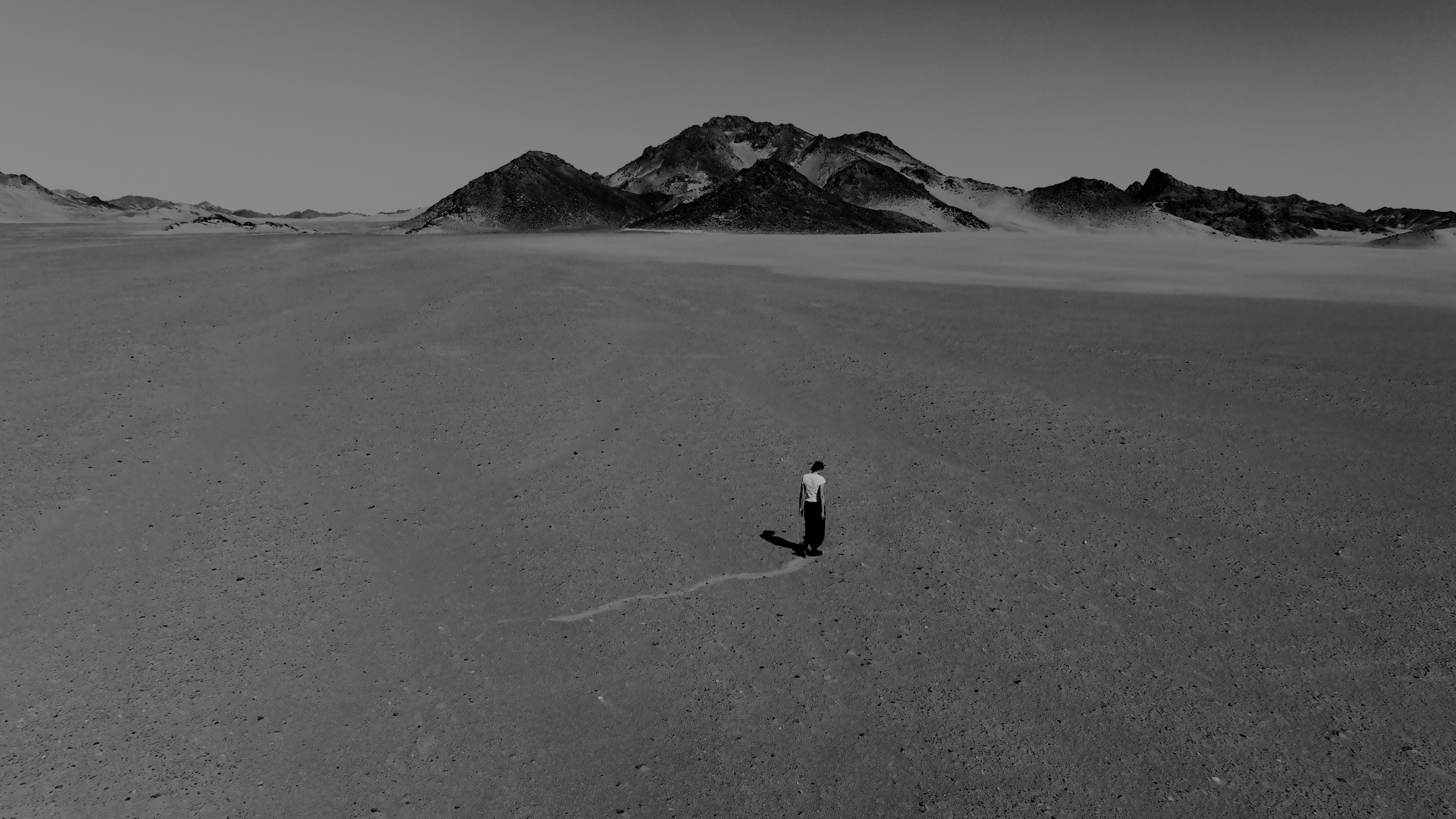In Search of an Honest Map, 2025_Sarah Brahim. Courtesy the artist and Albion Jeune