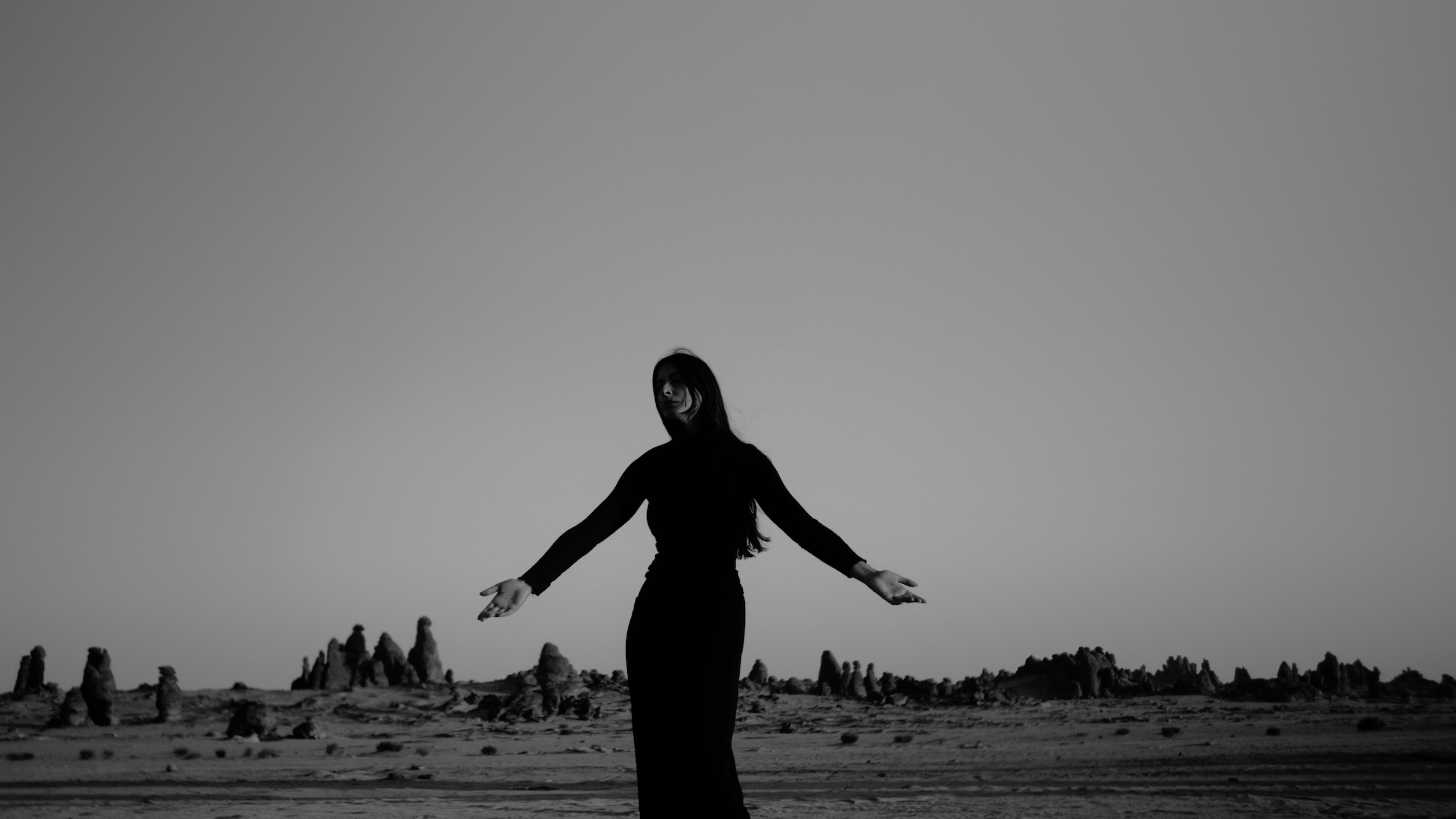 There Will Come Soft Rains, 2025_Sarah Brahim. Courtesy the artist and Albion Jeune