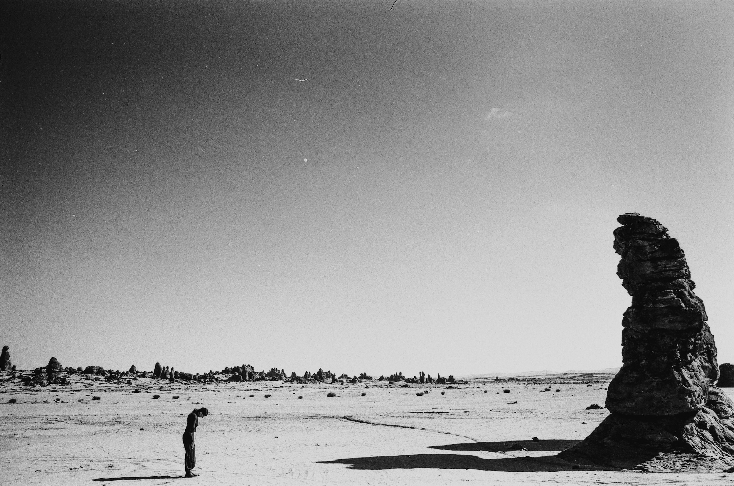 Untitled, 2025_Sarah Brahim. Courtesy the artist and Albion Jeune