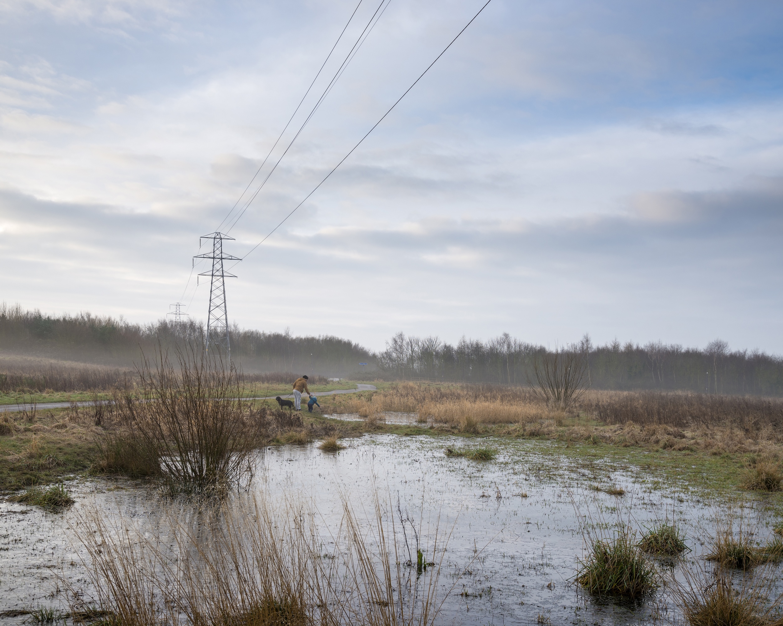 ©stephen_mccoy_9943