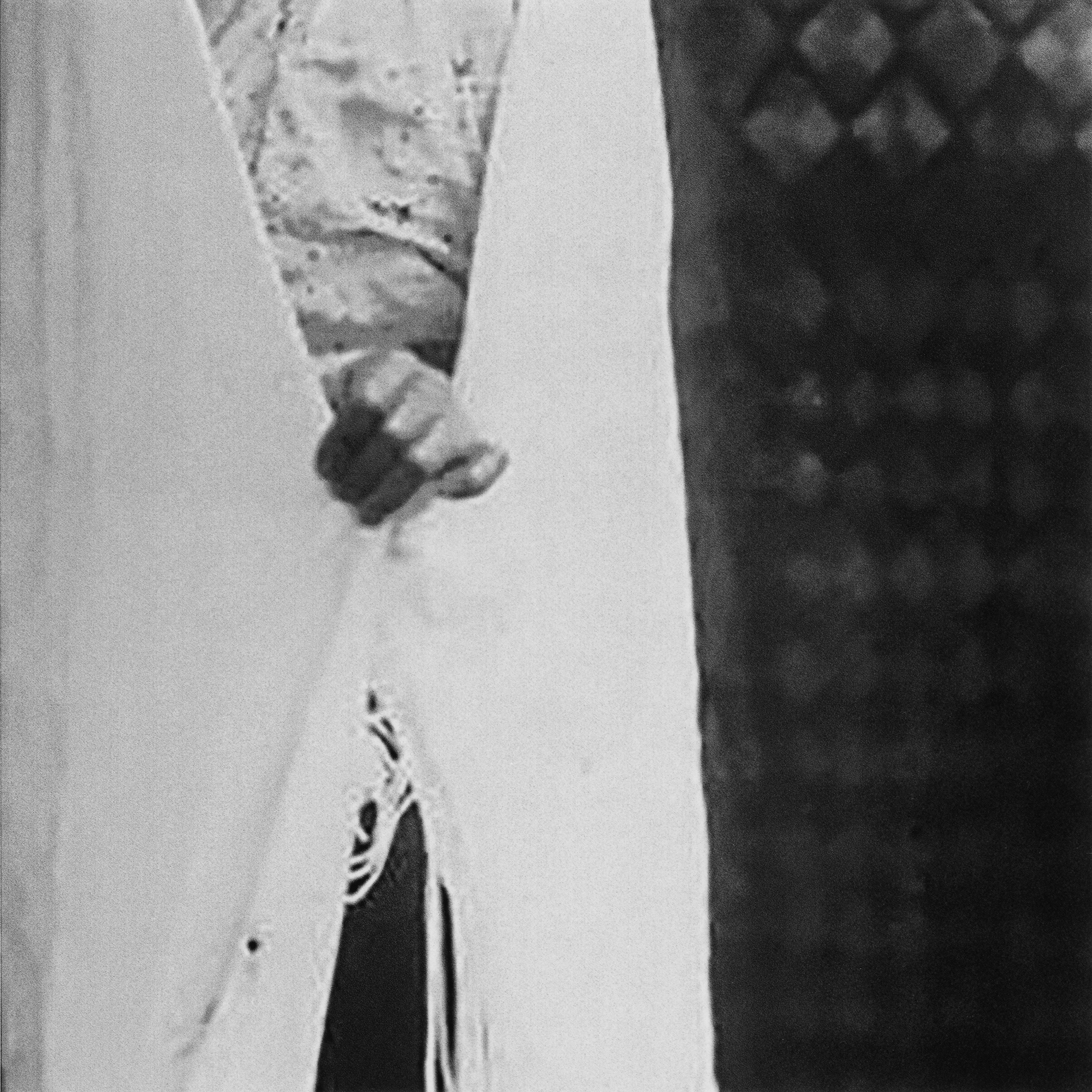 Hoda_Afshar_TheFold_Press07