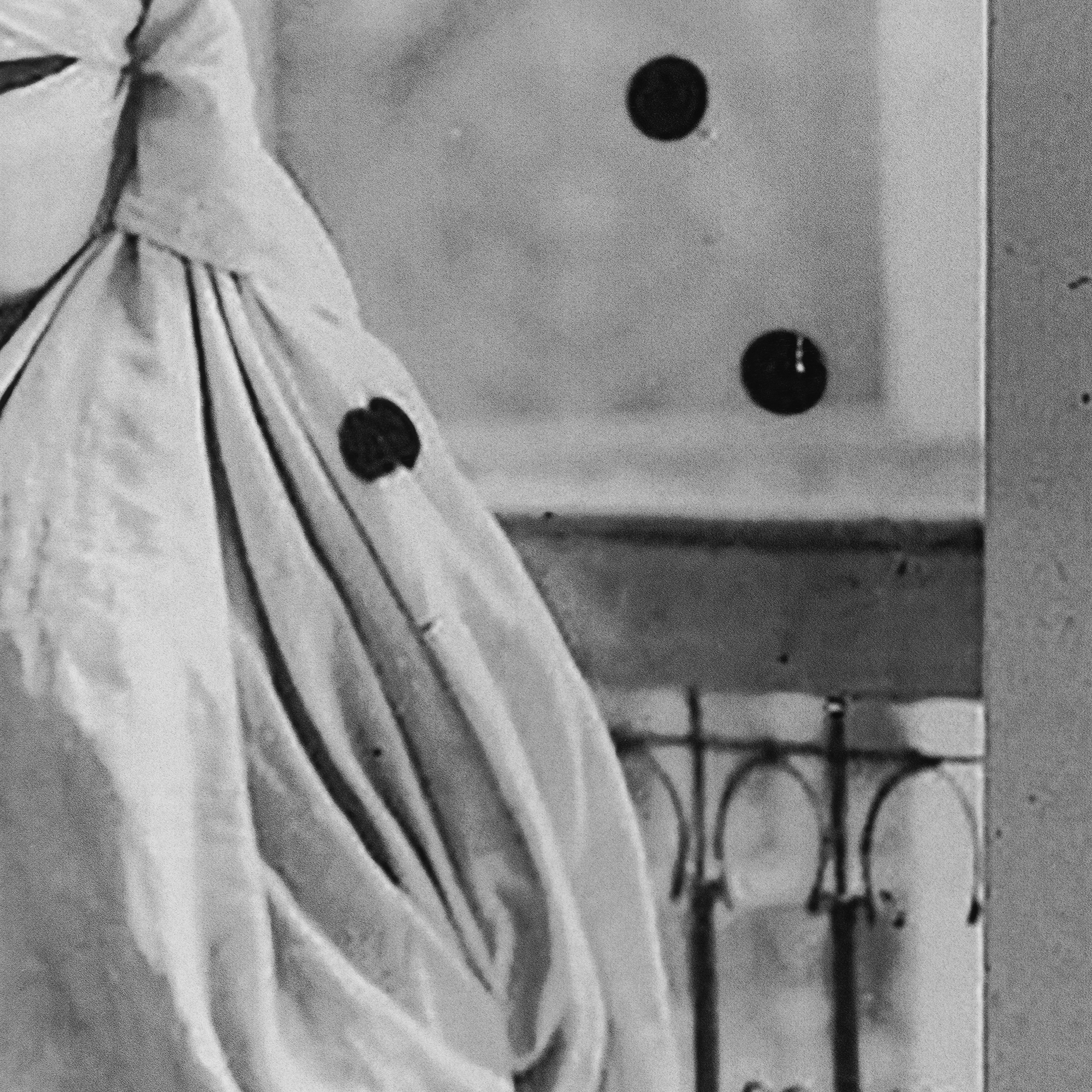 Hoda_Afshar_TheFold_Press08