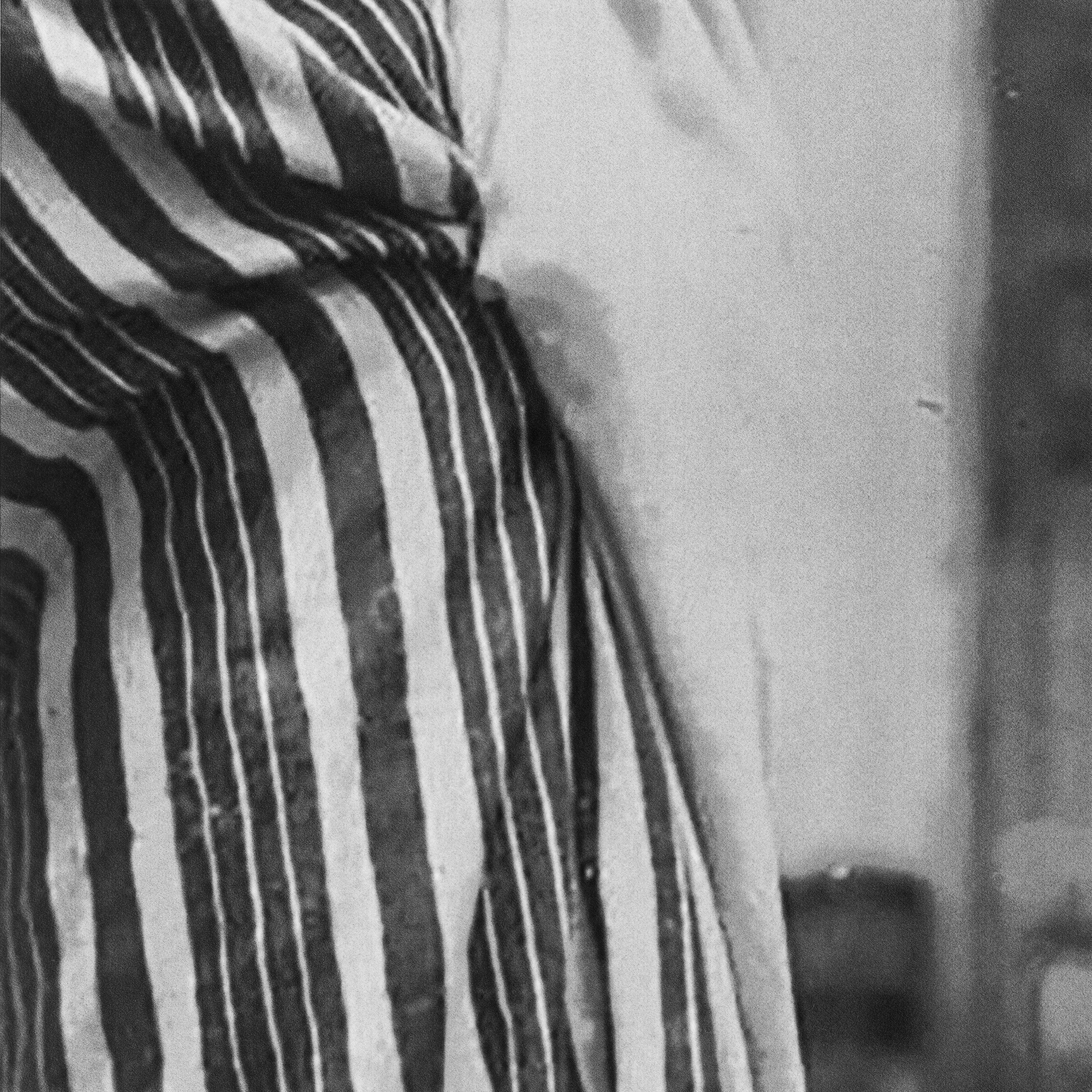 Hoda_Afshar_TheFold_Press19