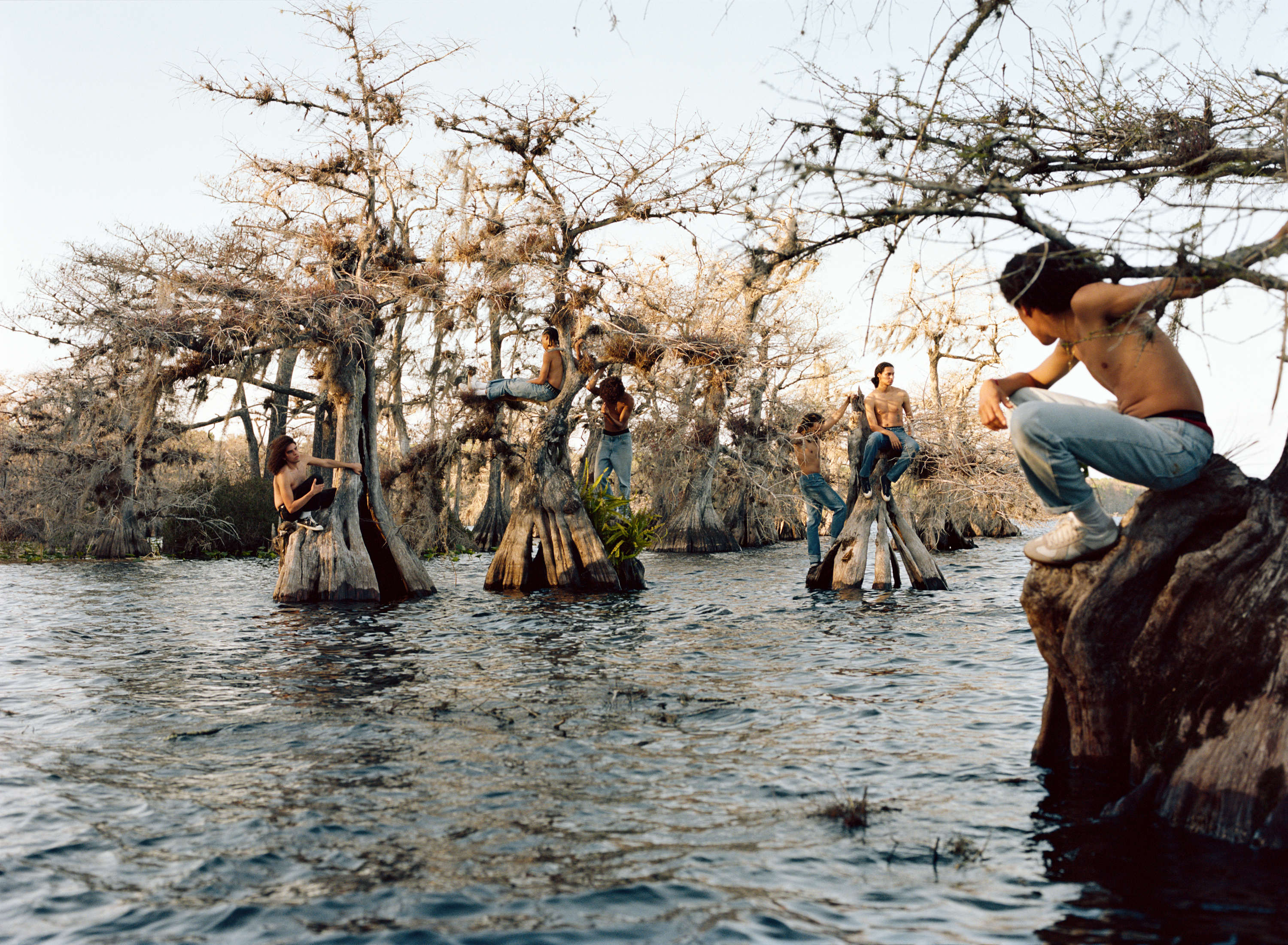 Photo by Josh Aronson