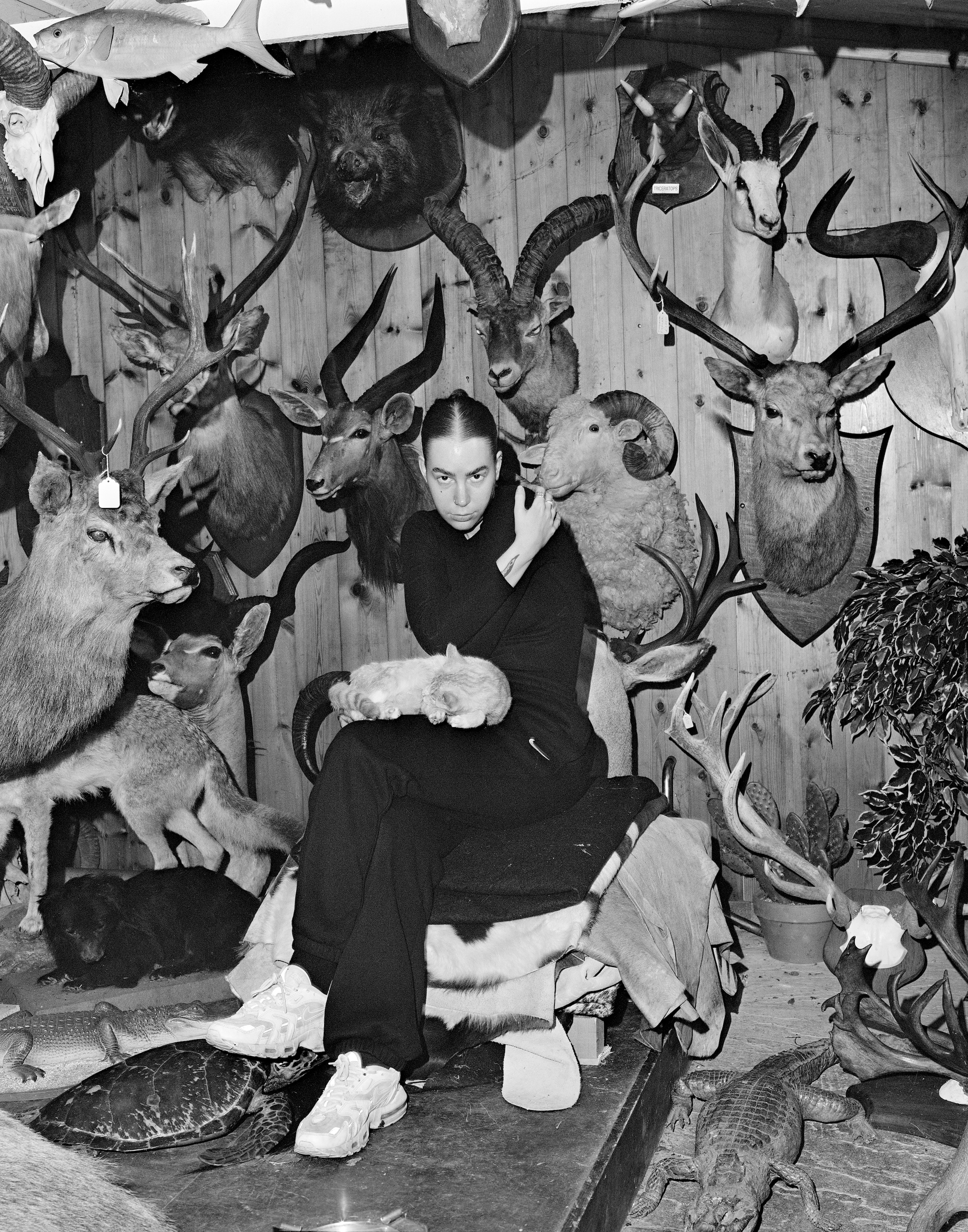 Trophies in the Pool House, Alice Poyzer, 2024