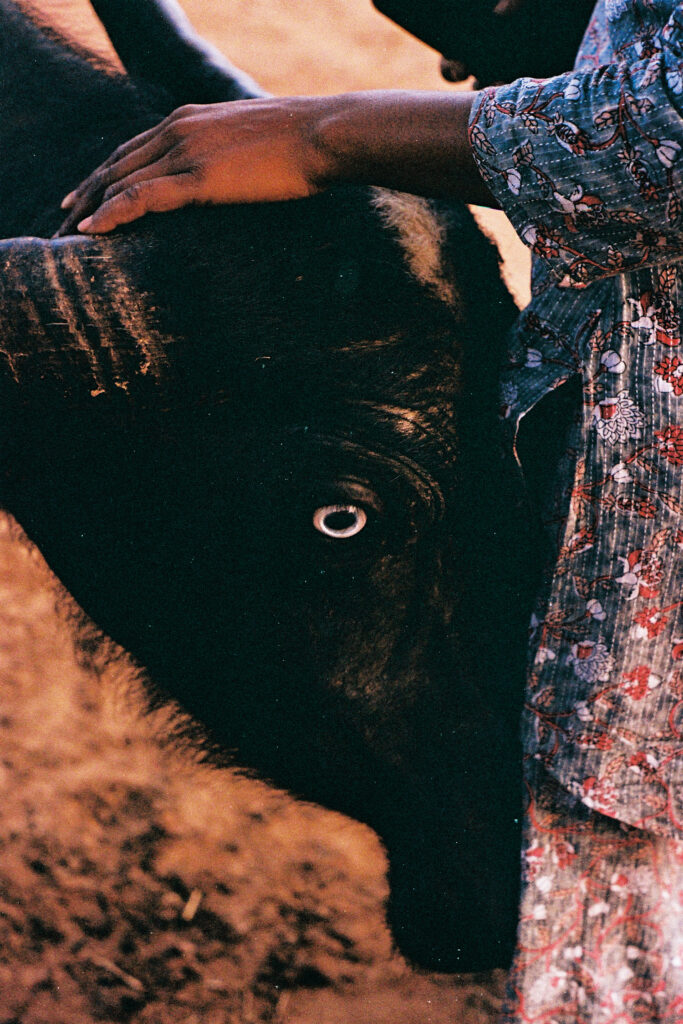 Discovering India Through Jaisingh Nageswaran's Lens: Techniques to Try
