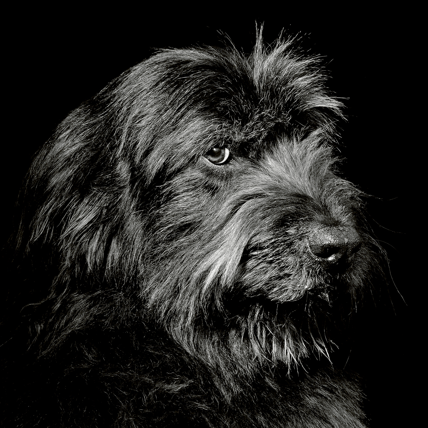 Buckley, 1999 © Jean-Baptiste Huynh