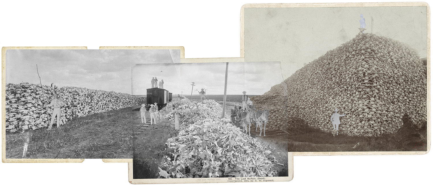 Days of Plenty - Emptying the Plains