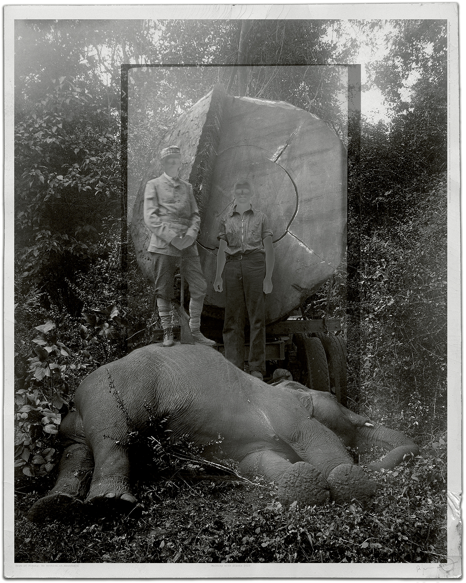 Walking with Giants
