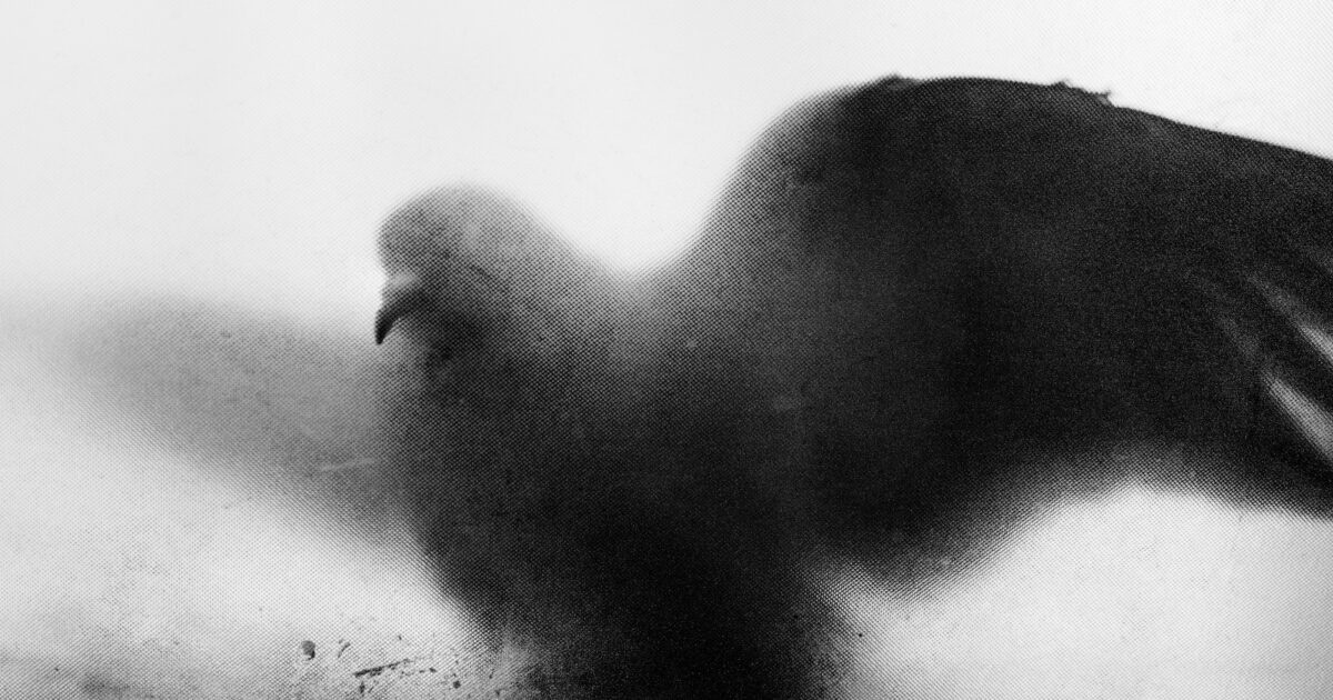 Exploring perception – and emotion – with Aman Alam