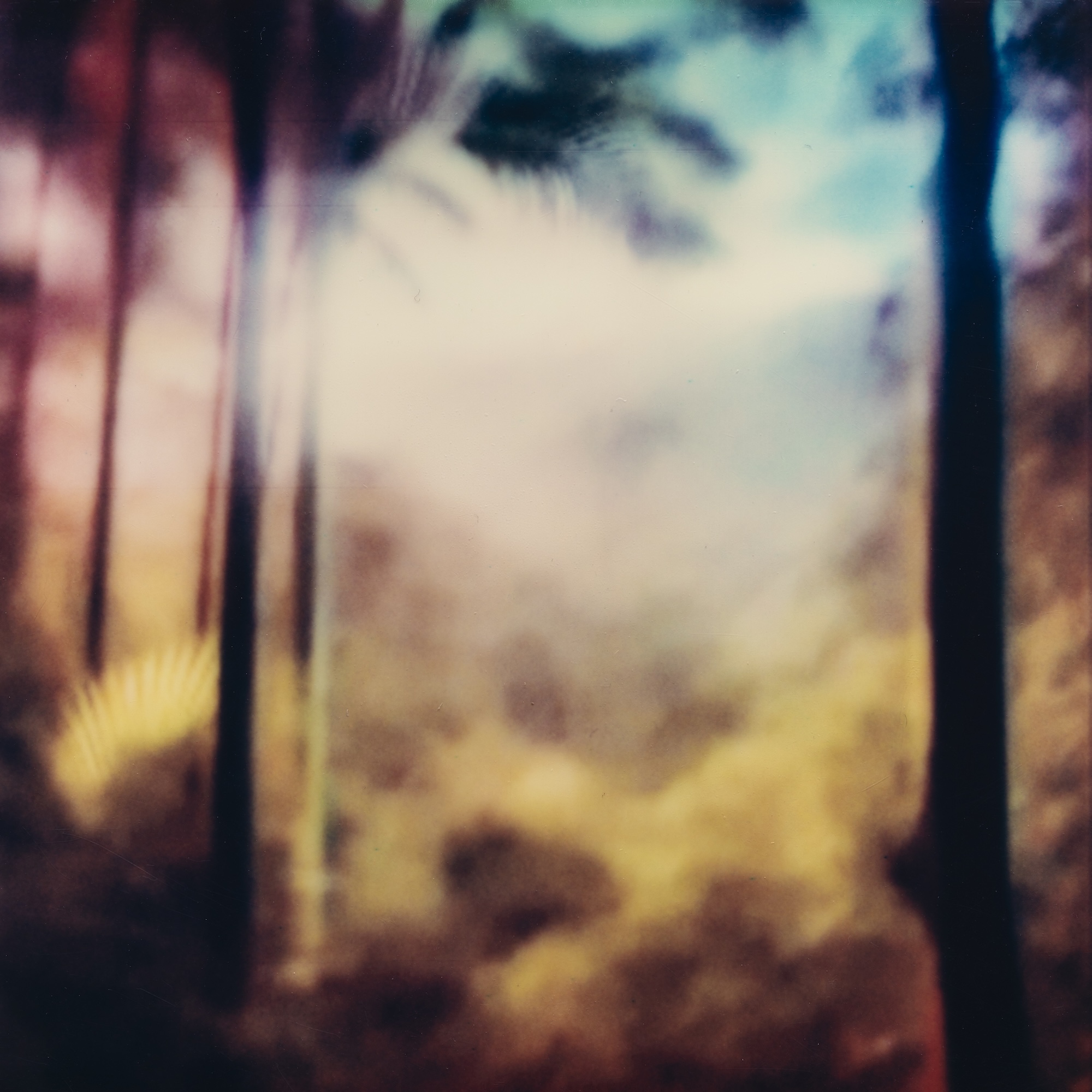 PDLR-01_JORDAN_BEAL_05