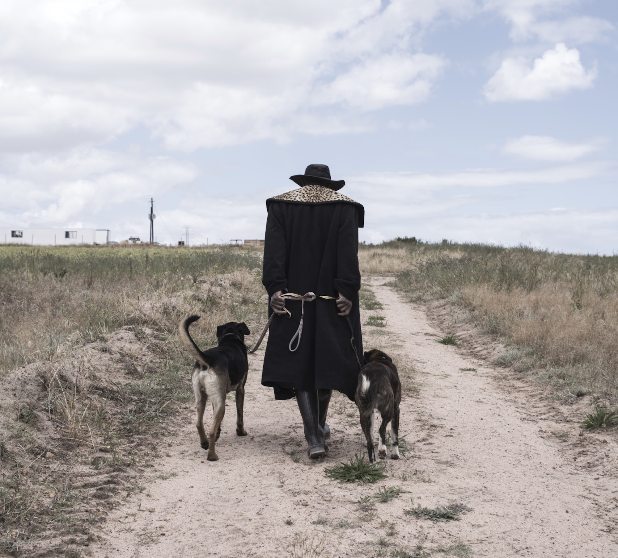 Dog walker, rural Cape